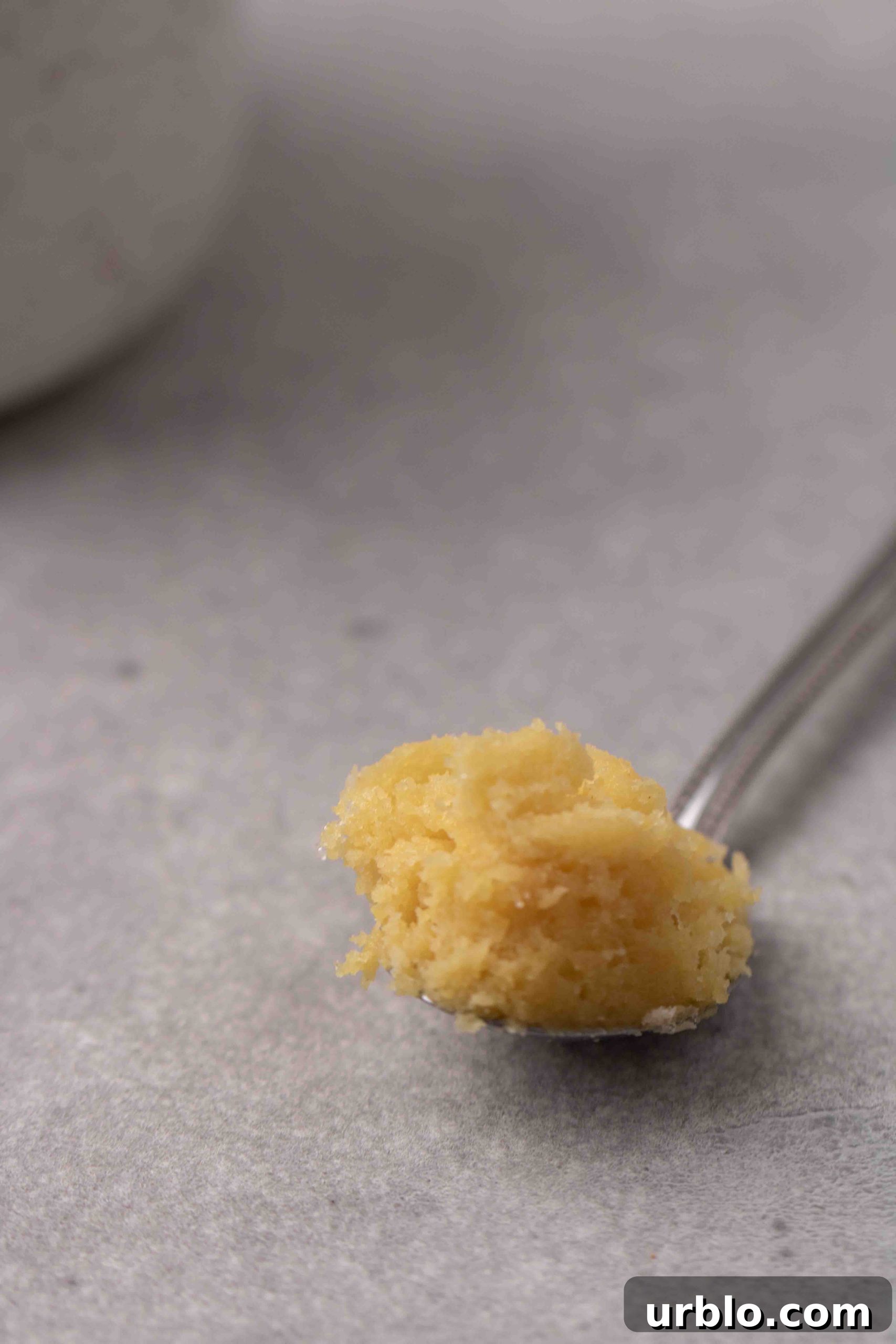 Ultra-Soft Sugar Cookie in a Mug: Quick Single-Serve Recipe 2 Close up of microwave sugar cookie in a spoon