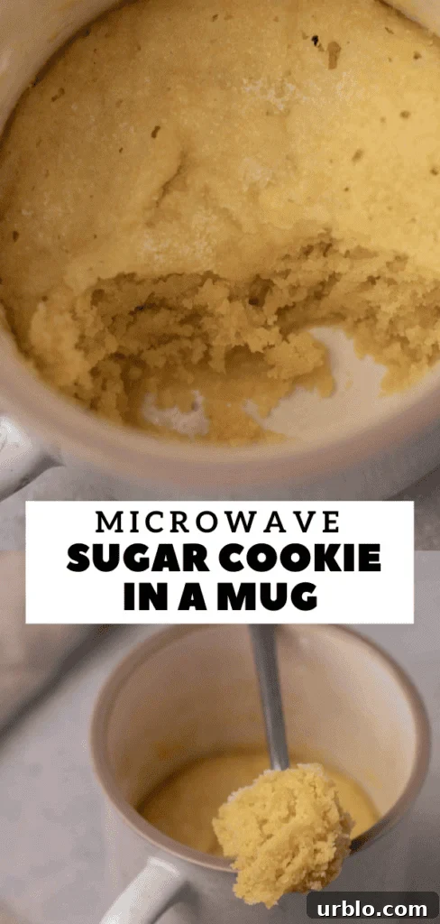 Ultra-Soft Sugar Cookie in a Mug: Quick Single-Serve Recipe 18 microwave sugar cookie in a mug