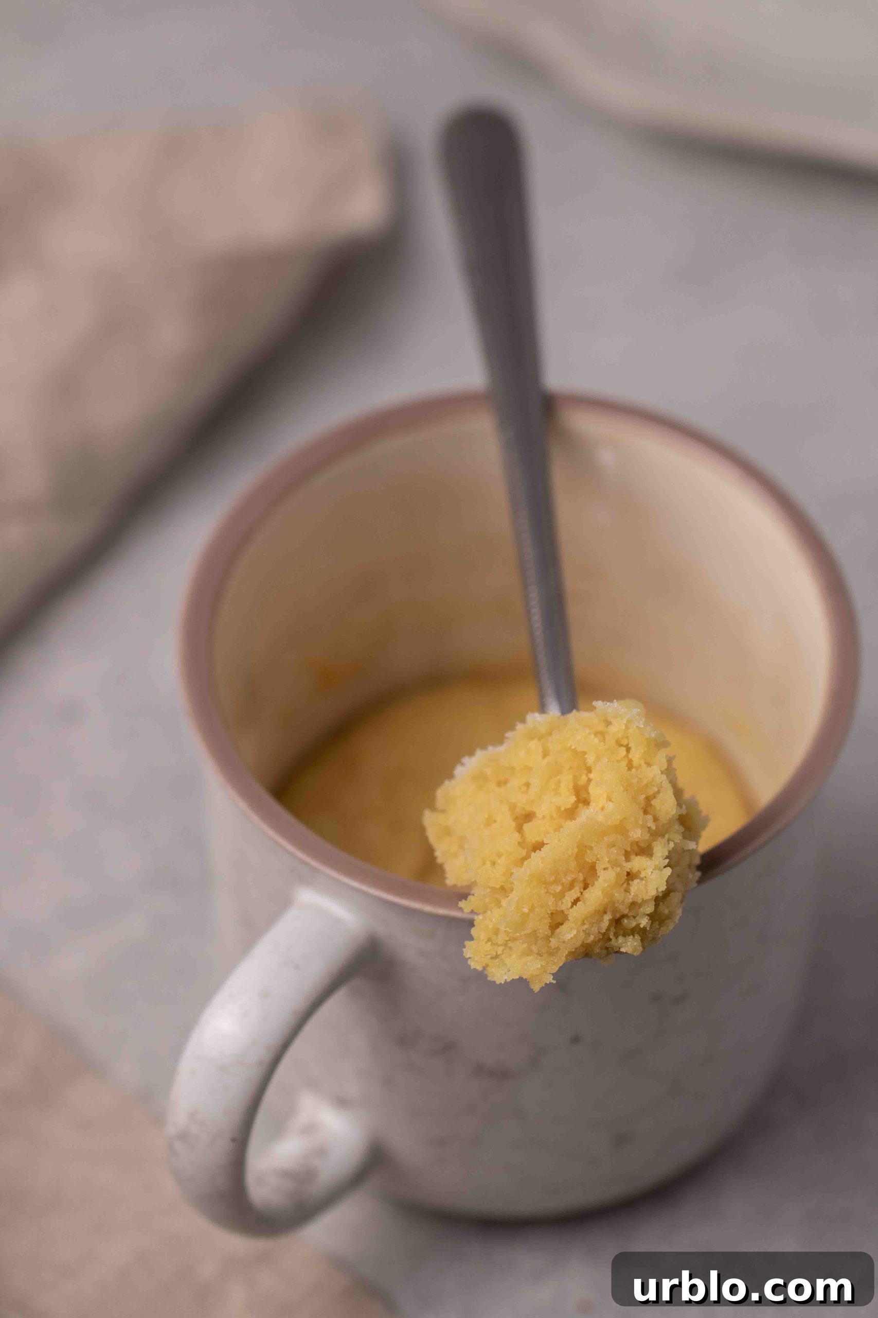 Ultra-Soft Sugar Cookie in a Mug: Quick Single-Serve Recipe 5 img 43741 4 scaled