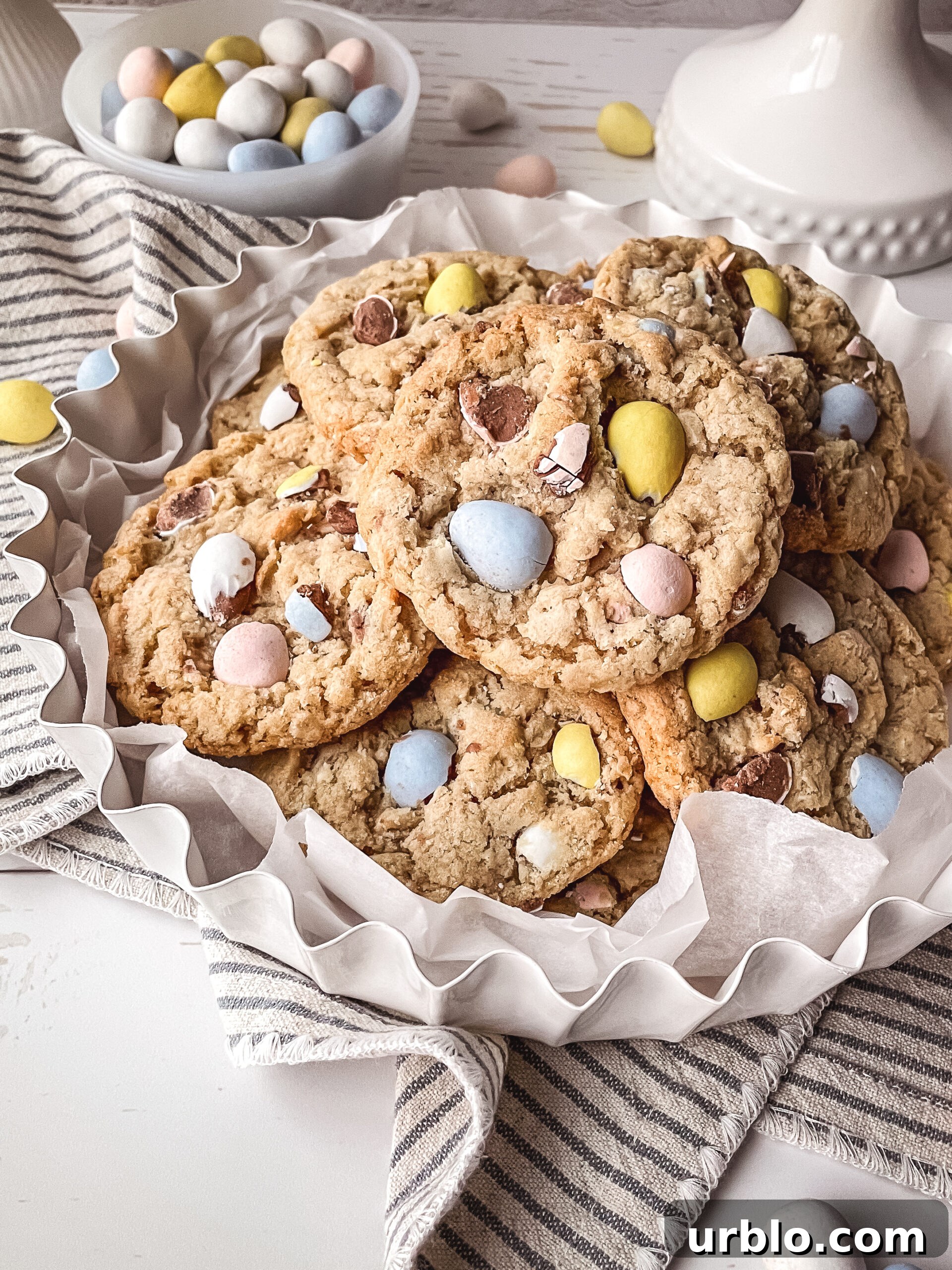Cookie close-up