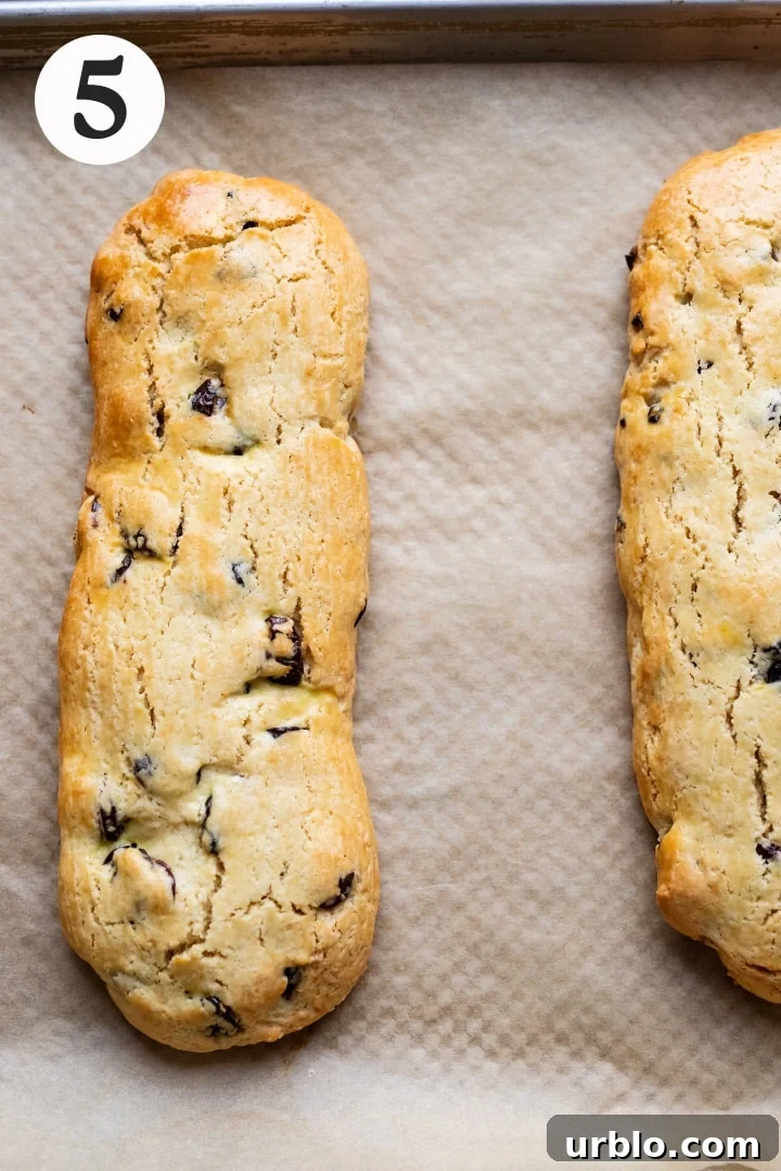 Two logs of biscotti dough baked on parchment paper.
