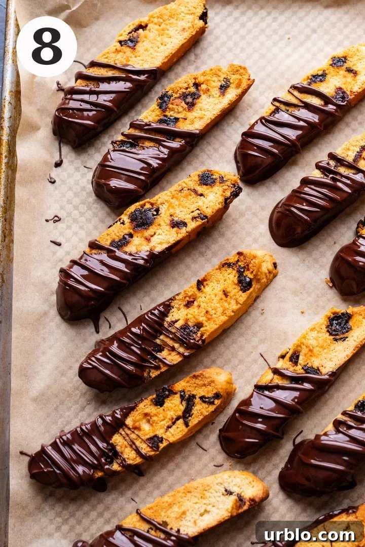 Chocolate dipped biscotti cookies arranged on a pan lined with parchment paper.