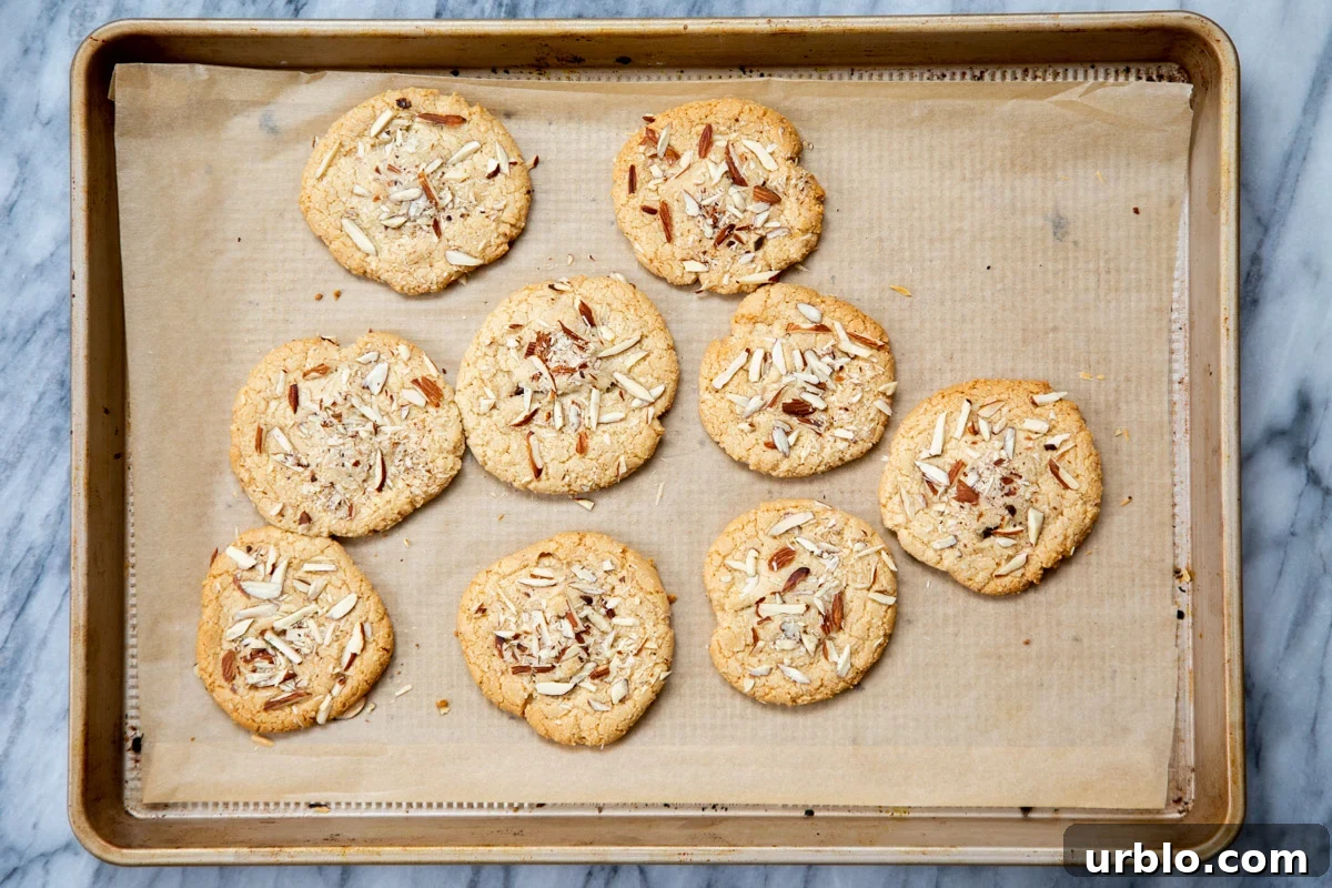 freshly baked vegan almond joy cookies on a sheet pan