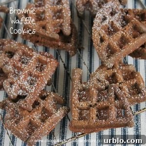 Brownie Waffle Cookies-The rich taste of a brownie made with your waffle iron!