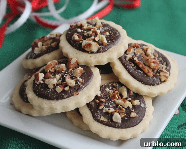 Brown Sugar Cookies with Chocolate pecans and sea salt form Savor good food-37