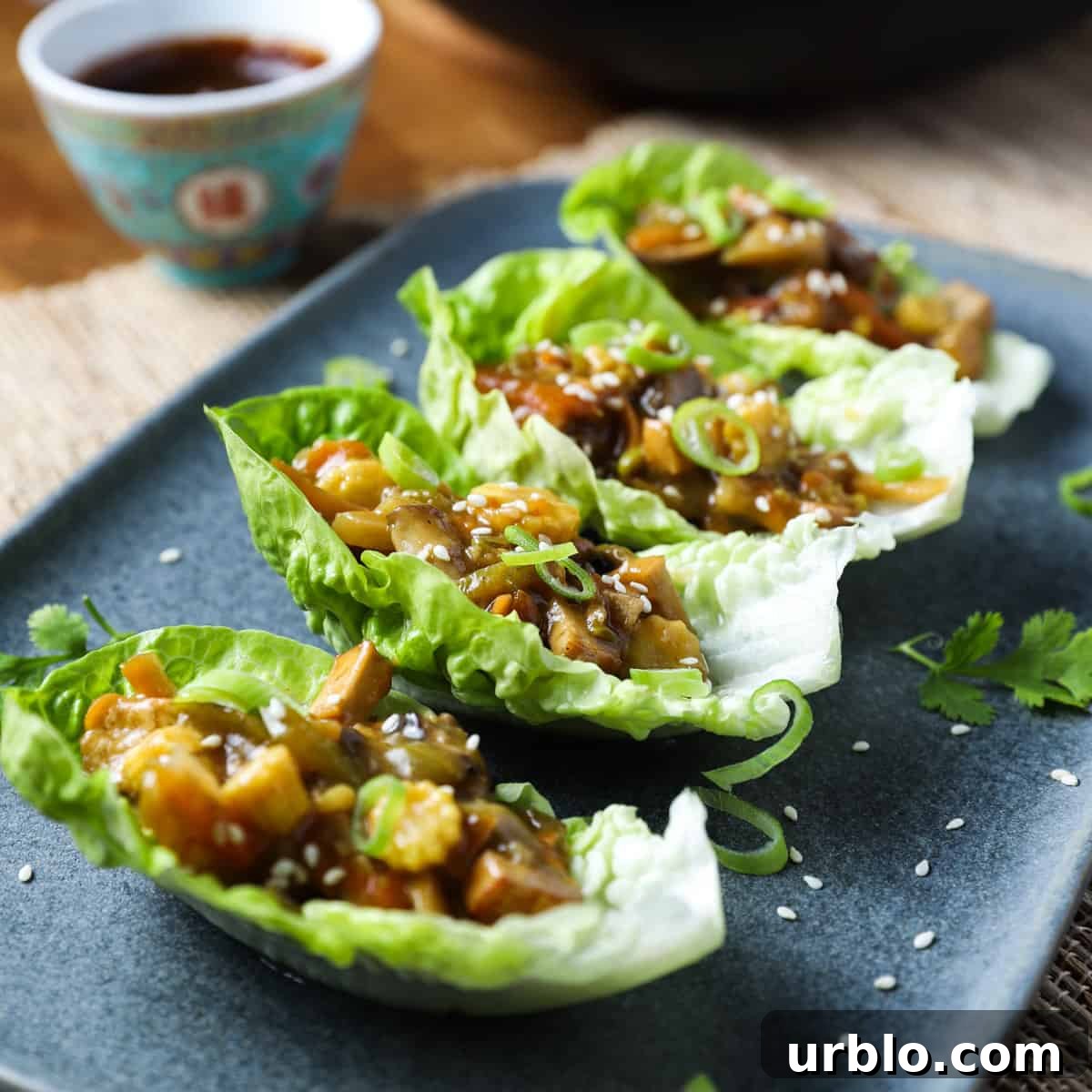 Photo of 4 lettuce leaves with vegan san choy bau filling inside, placed on a blue-grey oblong plate with a chinese dish of hoisin sauce to the side.