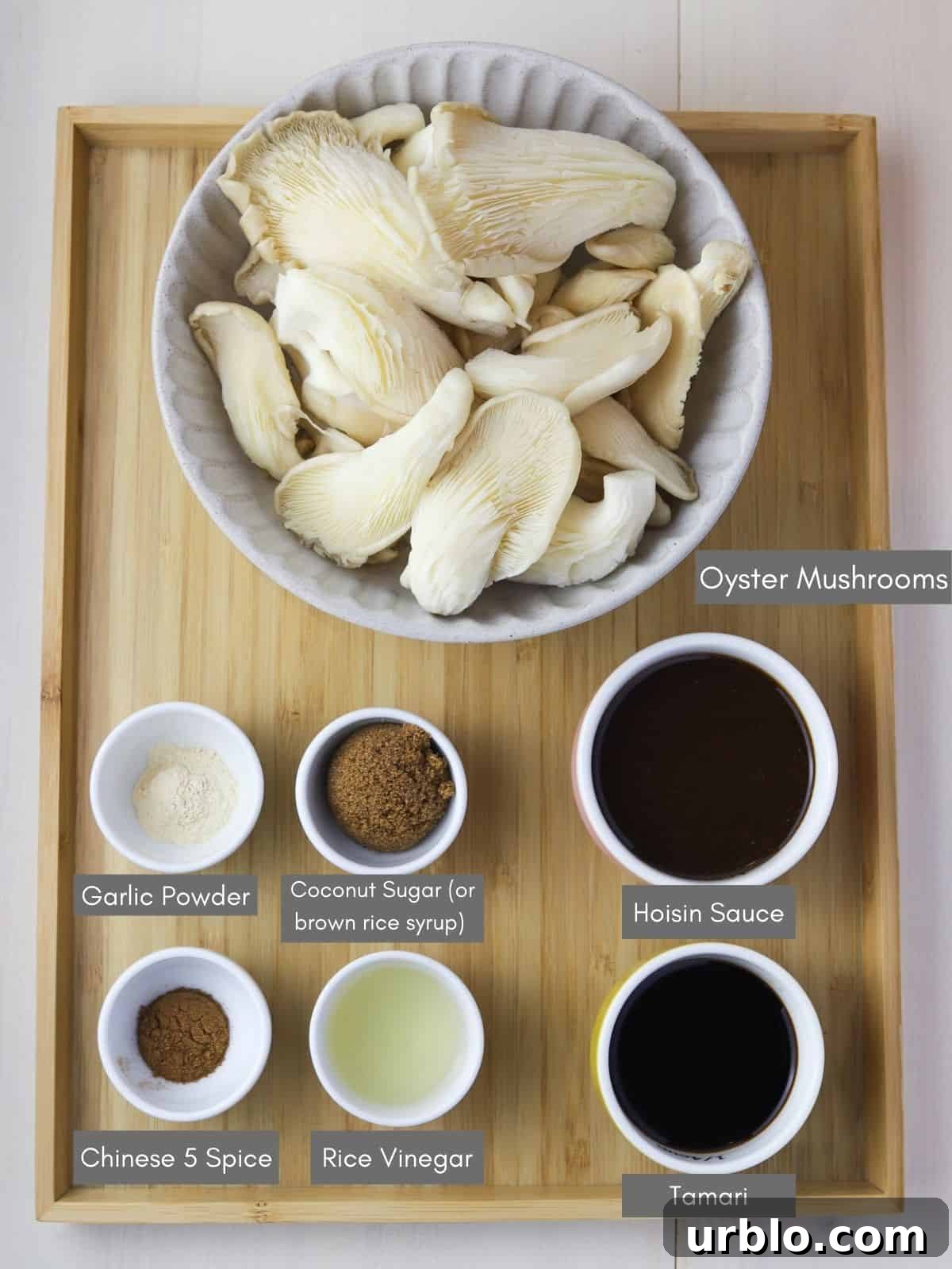 Photo showing the ingredients needed to make vegan Char Siu oyster mushrooms.