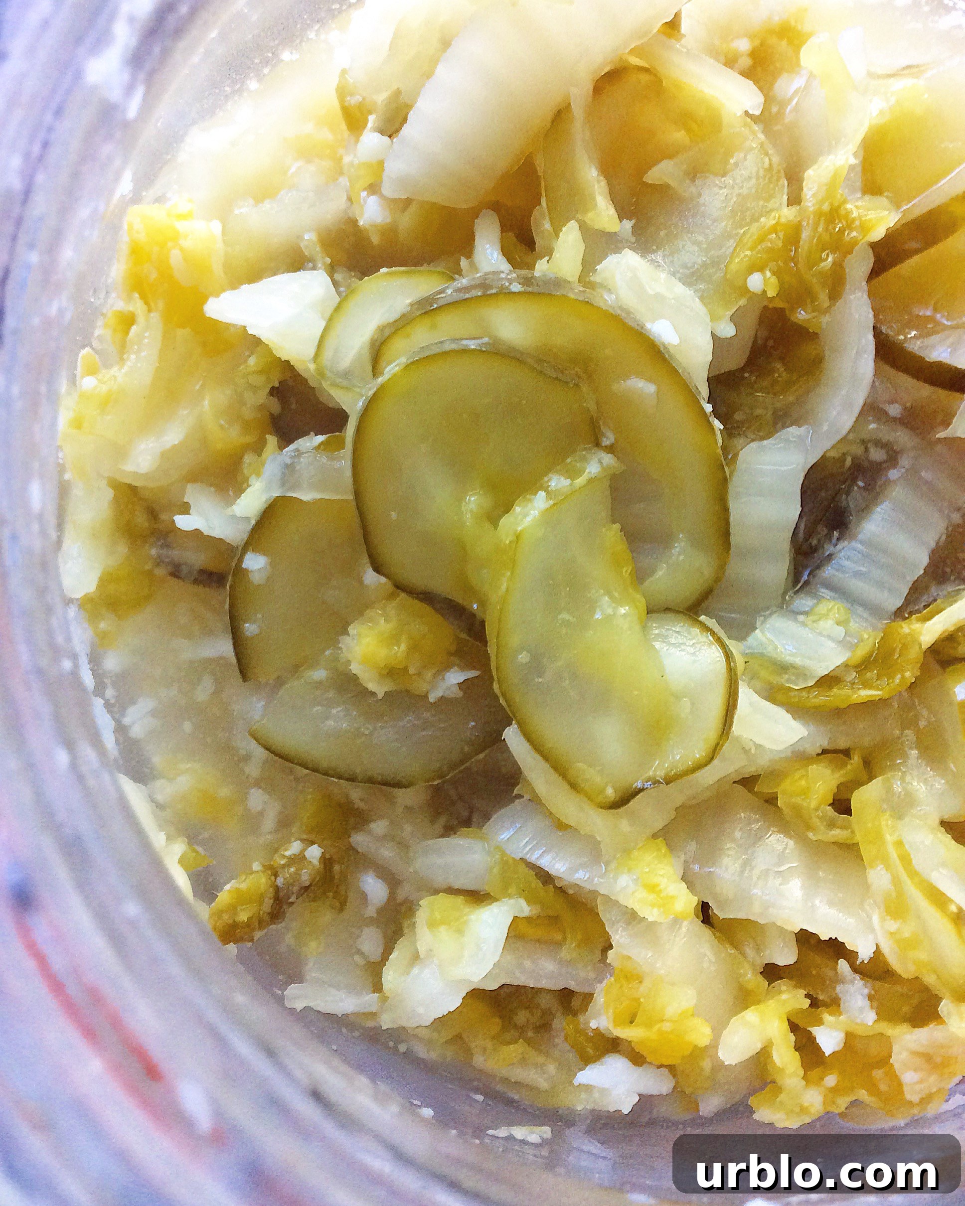 Easy Homemade Sauerkraut (Raw, Fermented)