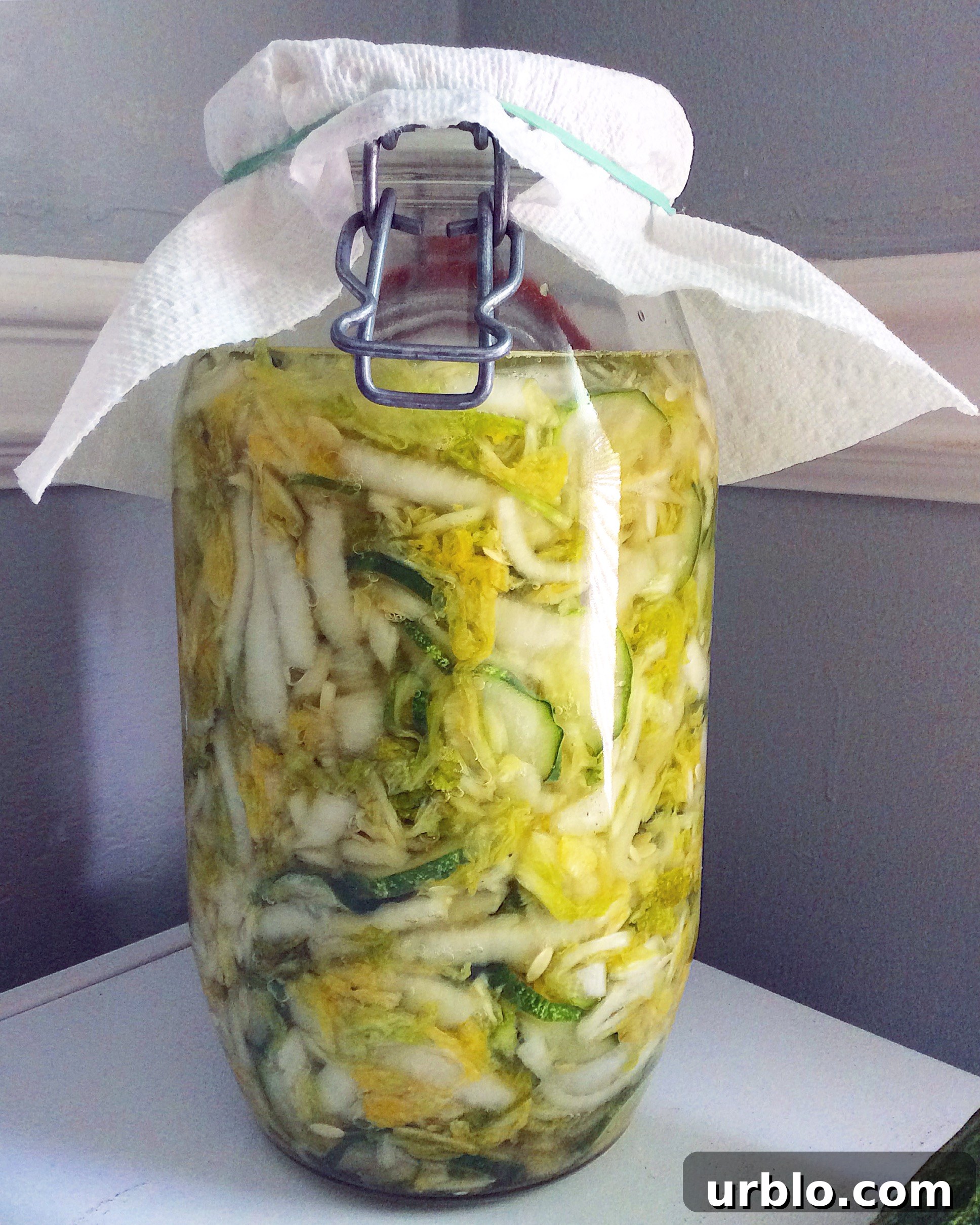 Easy Homemade Sauerkraut (Raw, Fermented)