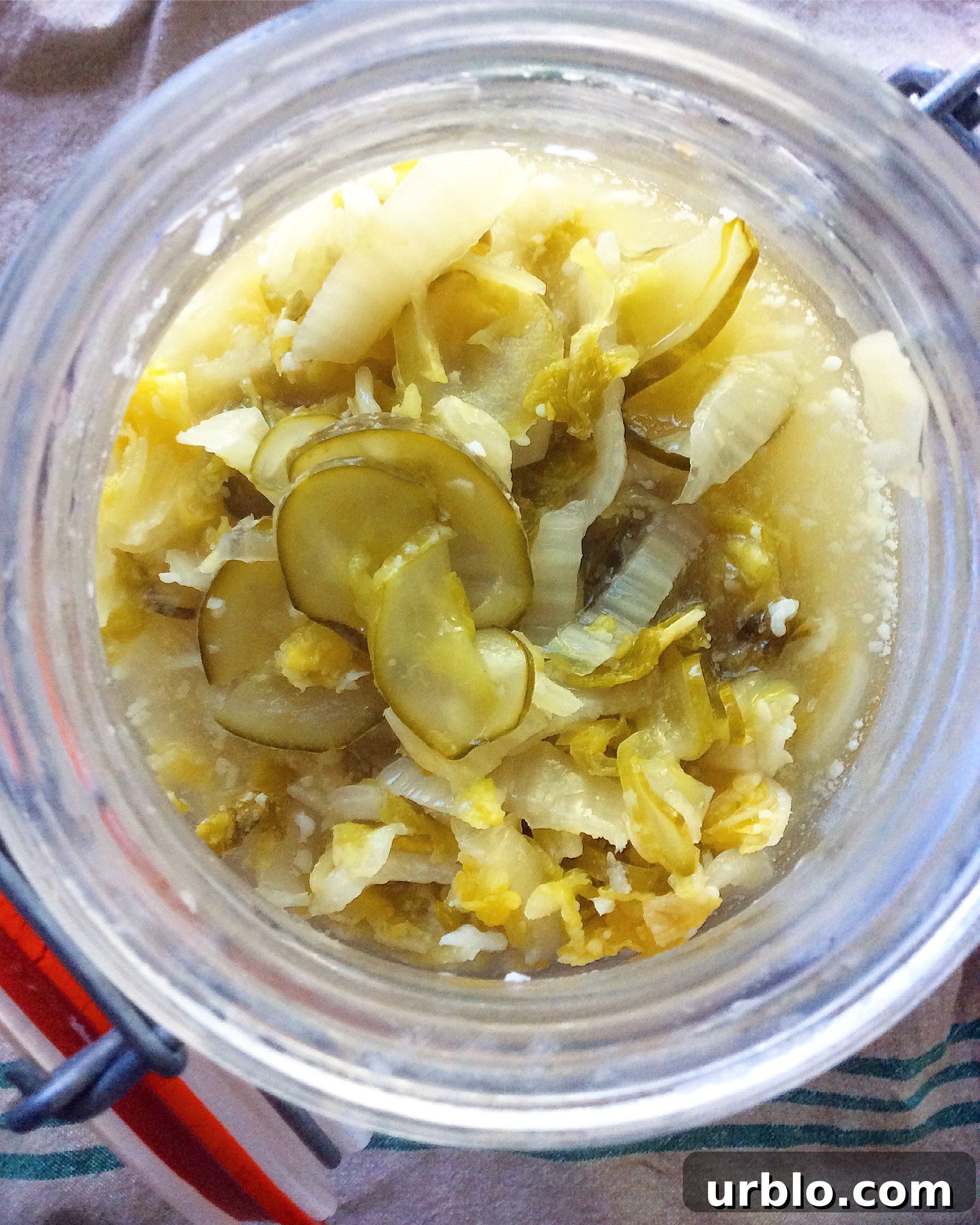 Easy Homemade Sauerkraut (Raw, Fermented)