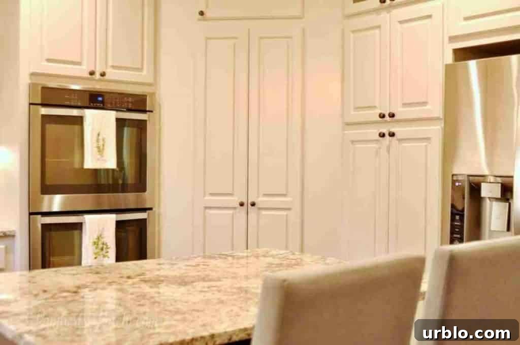 closed pantry door hidden in cabinets.