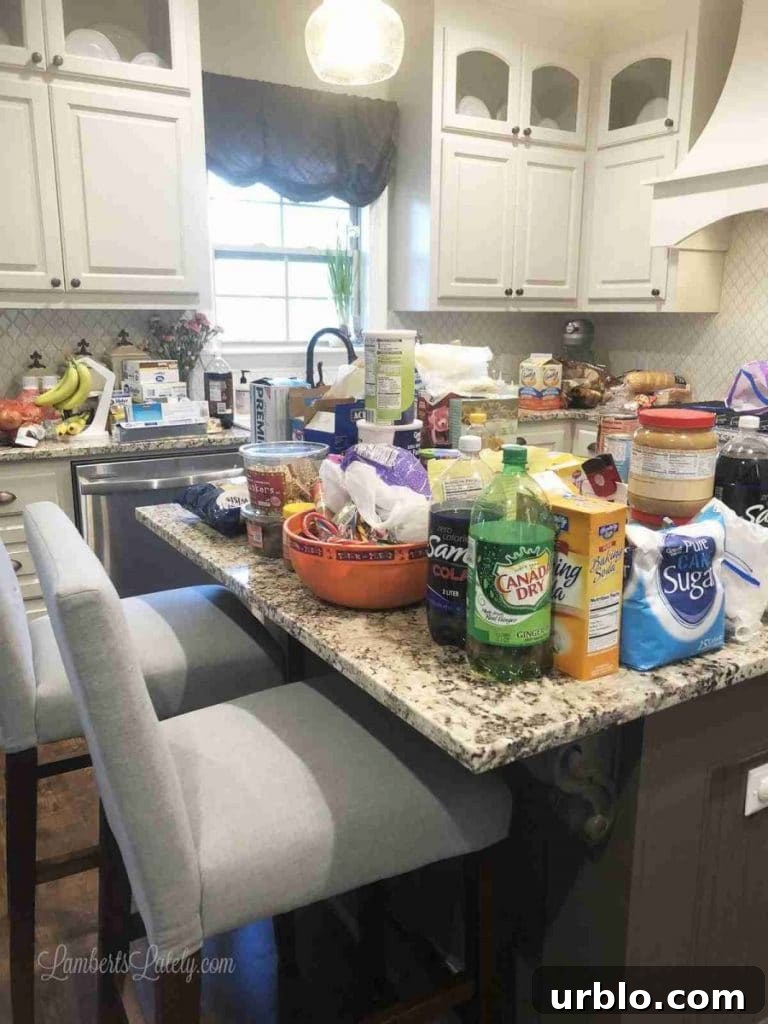food on a kitchen island.