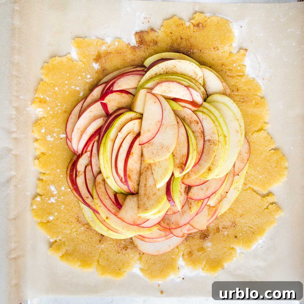 Pie dough rolled into a disc and filled with circles of sliced apples.