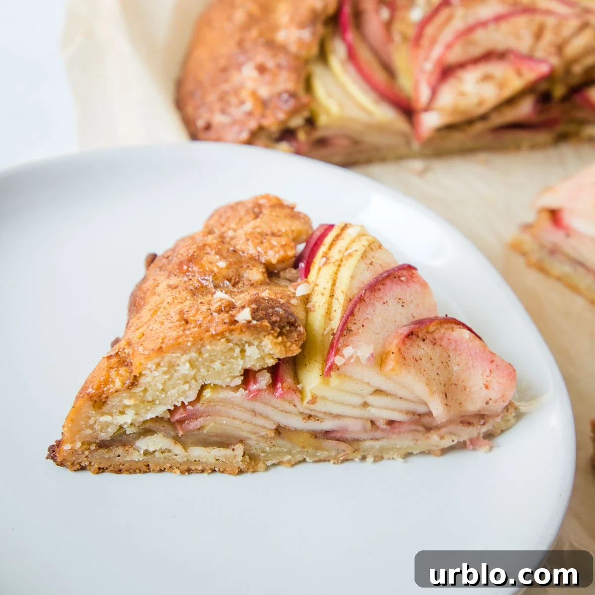 Side view of a slice of apple galette. You can see all the layers of apple slices.