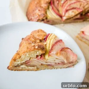 Side view of a slice of apple galette. You can see all the layers of apple slices.