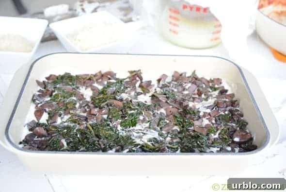 layer of mushrooms