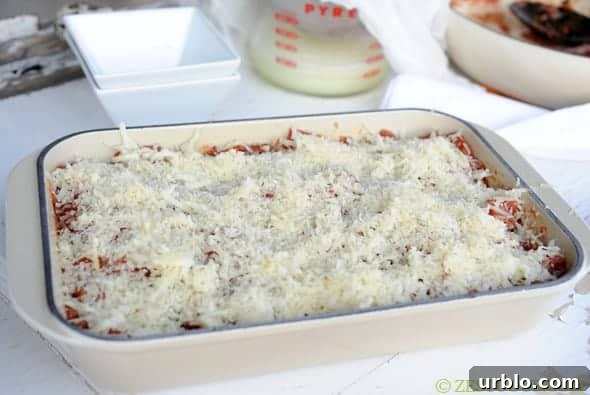 mozzarella cheese sprinkled on top of lasagna