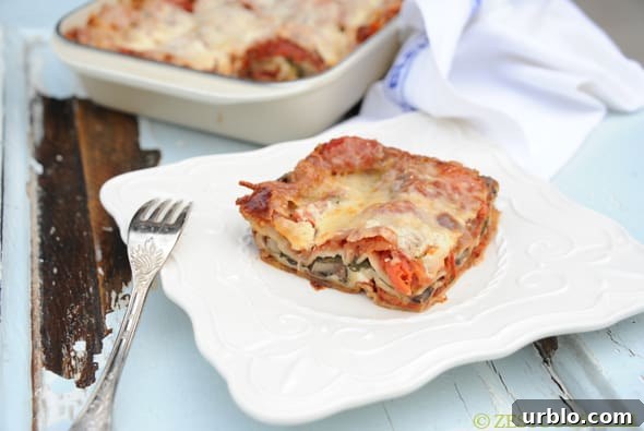 Vegetarian Lasagna from Zestuous
