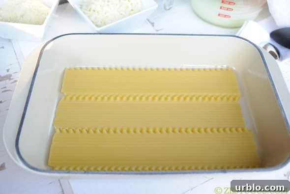 layer of noodles