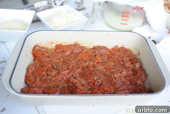 layer of tomato sauce