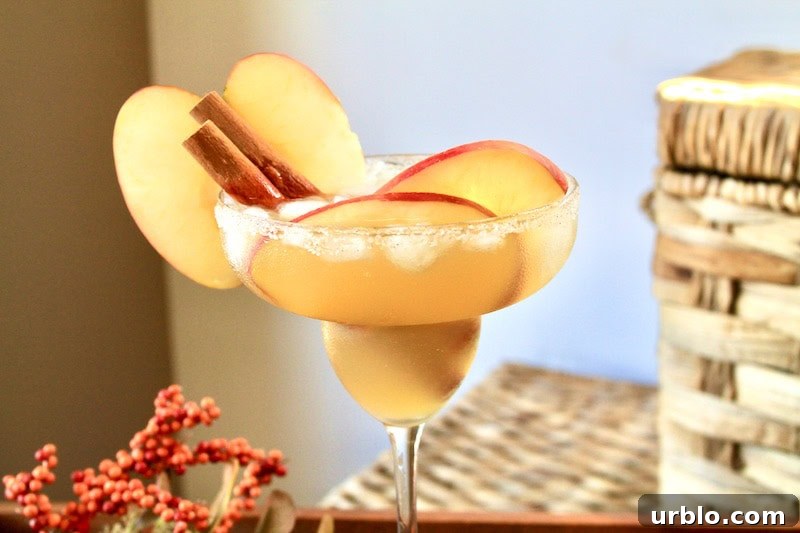 cinnamon apple cider margarita fall cocktail