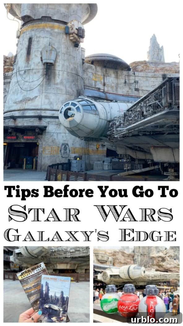 Star Wars Land Disneyland