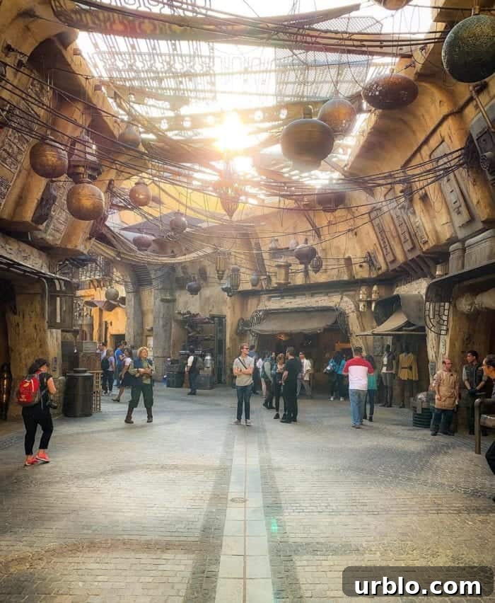 Star Wars Land Disneyland
