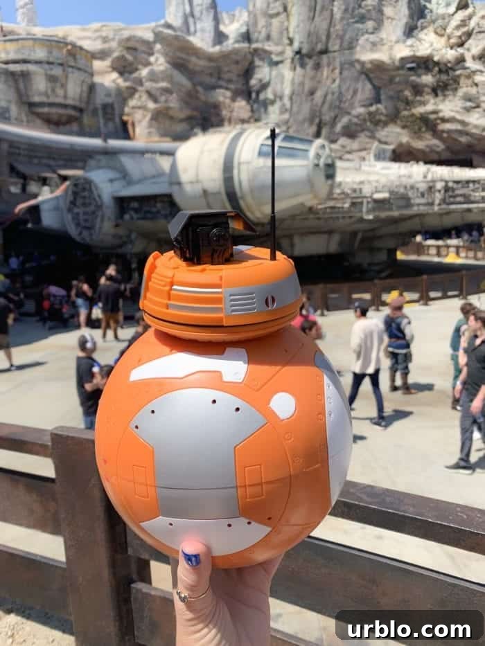 Droid Depot