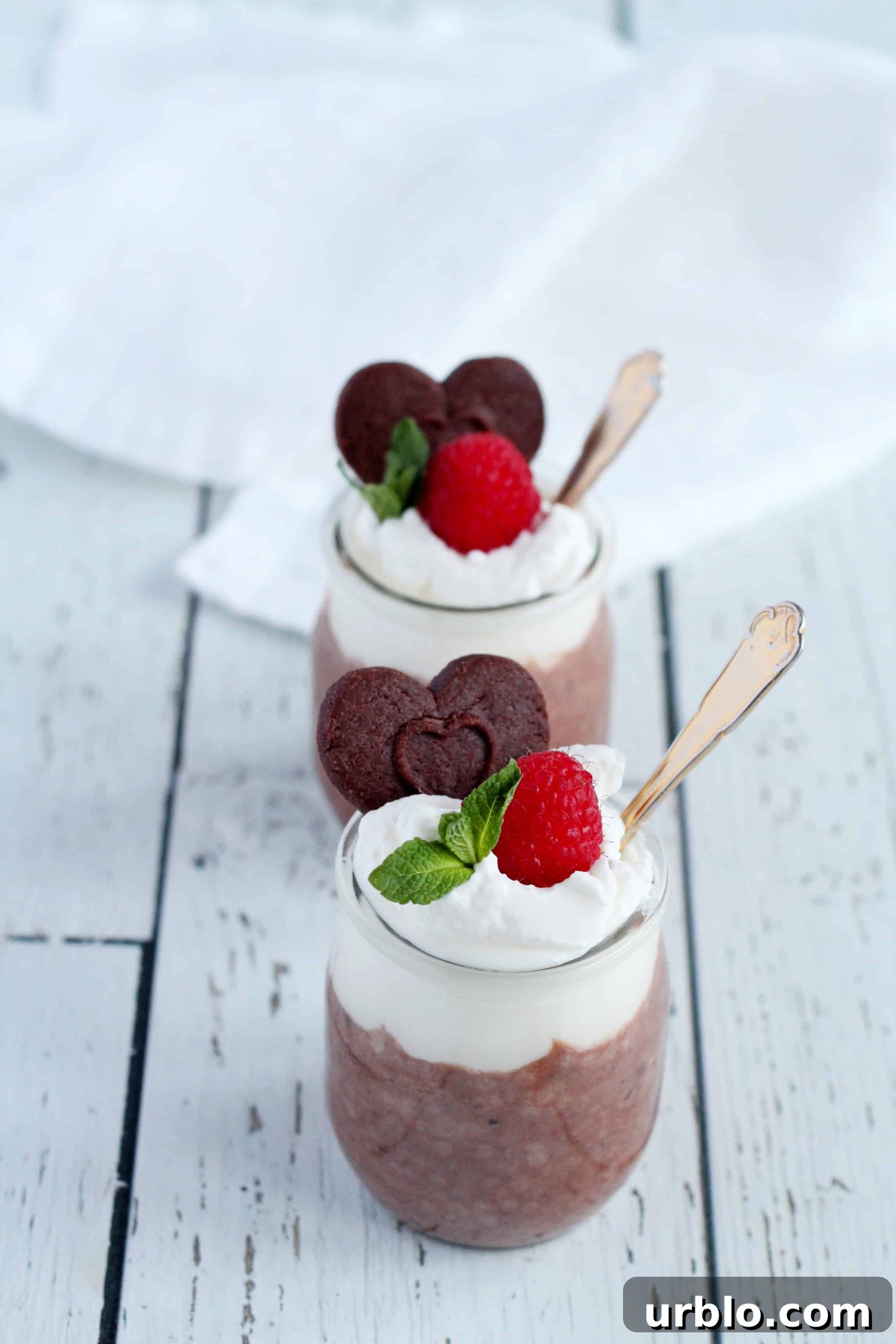 chia pudding with chocolate
