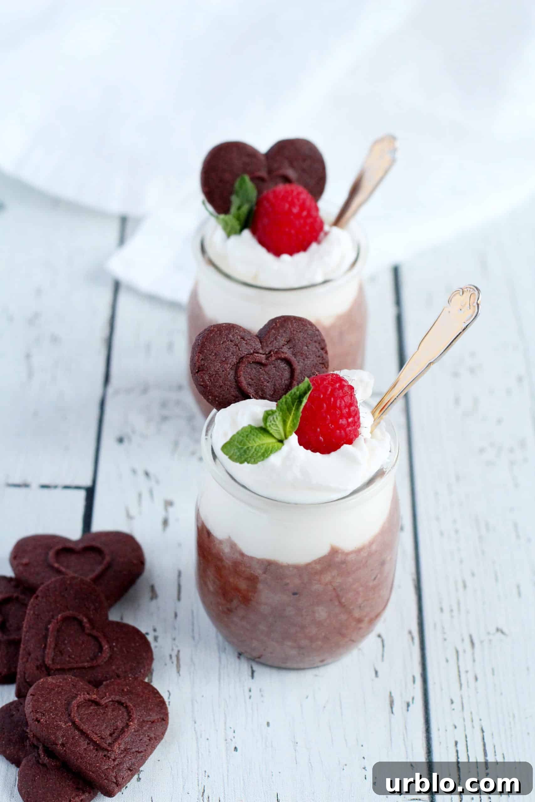 chocolate chia seed pudding