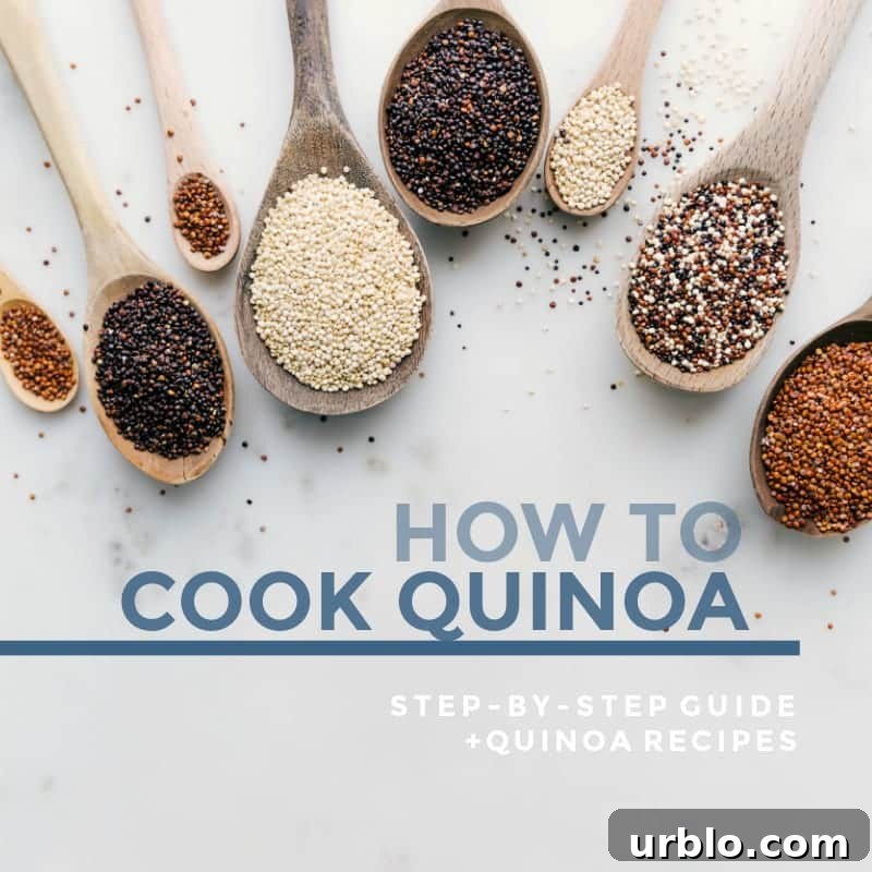 Wooden spoons filled with different varieties of quinoa with text "How To Cook Quinoa : step-by-step guide + quinoa recipes"