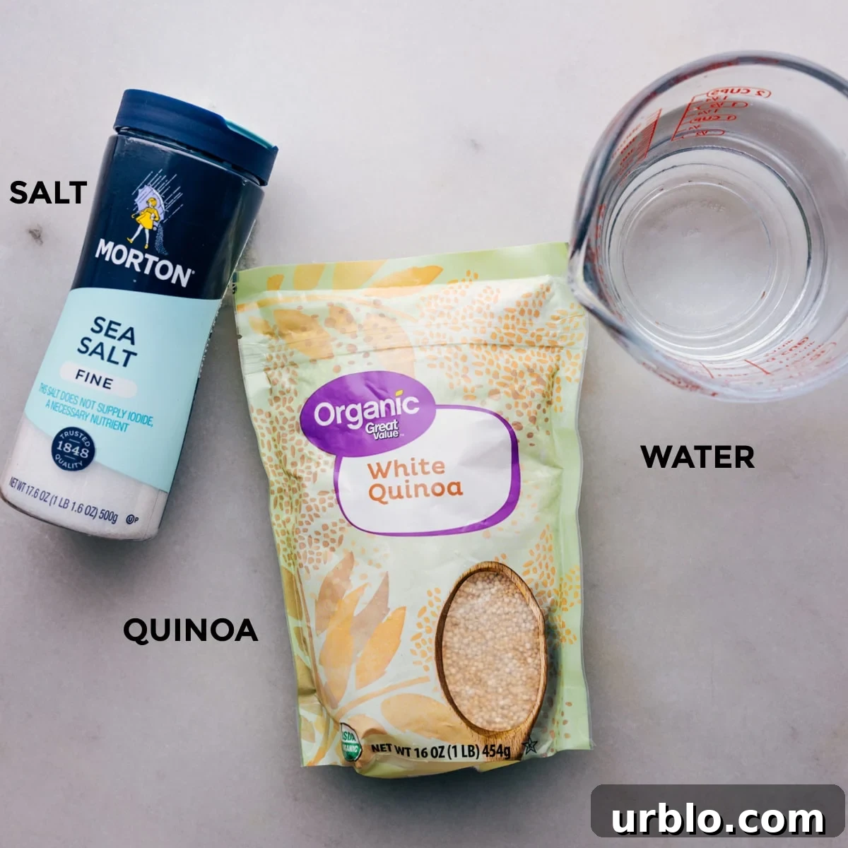 All the ingredients used in this recipe laid out for easy assembly.