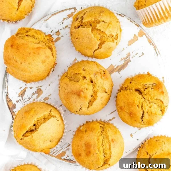 sweet potato muffins