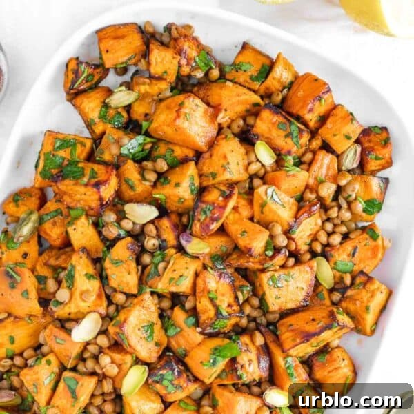 lentil sweet potato salad recipe