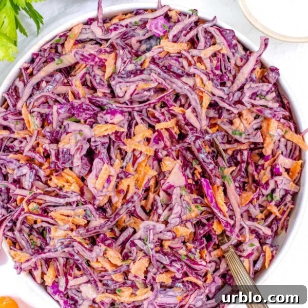 red cabbage slaw