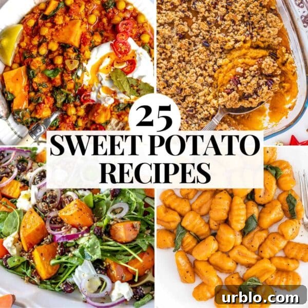sweet potato recipe ideas