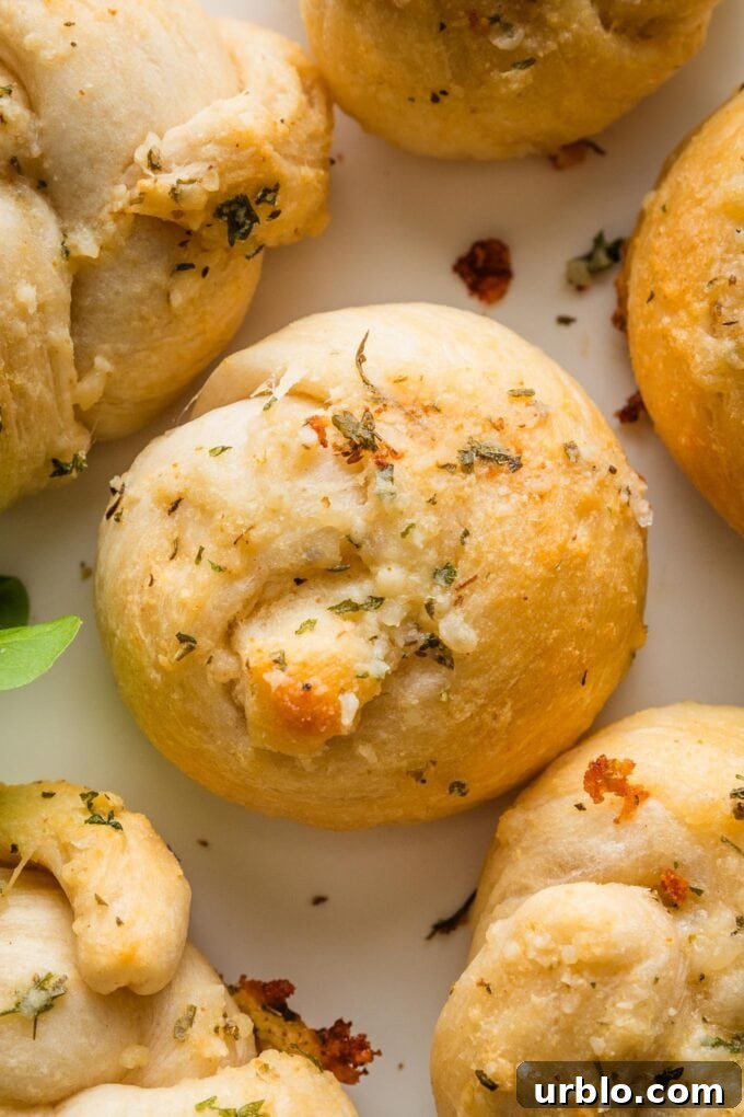 Close up of a butter Parmesan brushed garlic knot made out of biscuit dough.
