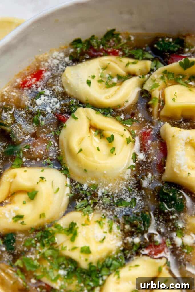 close up of cheese tortellini soup with parmesan, kale, and fennel