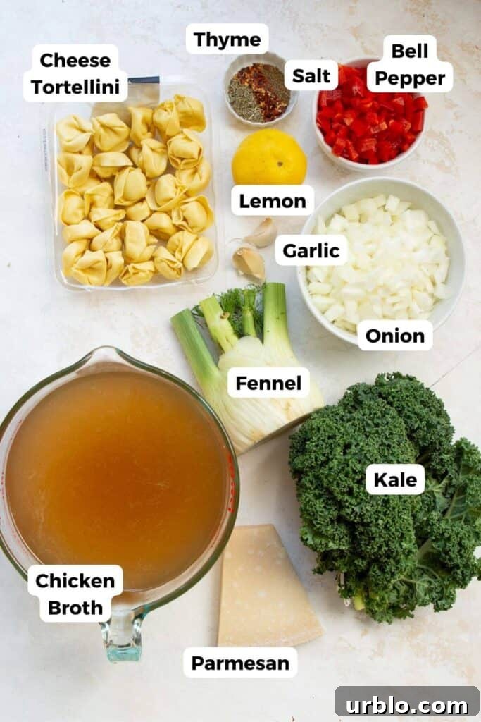 all ingredients in this tortellini soup in small bowls with labels