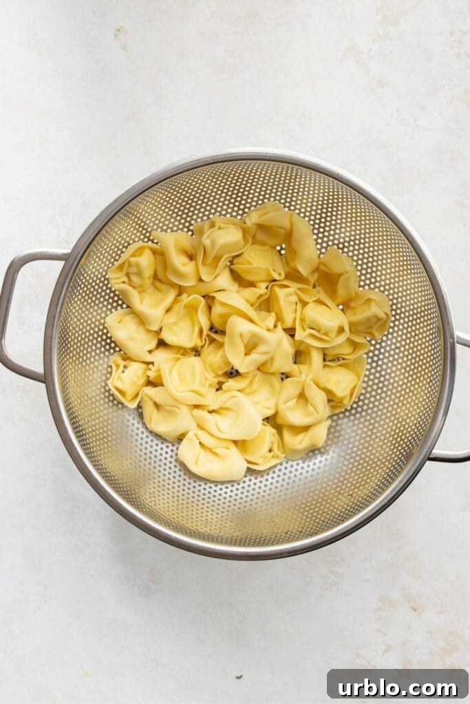 cheese tortellini cooked and drained in a colander