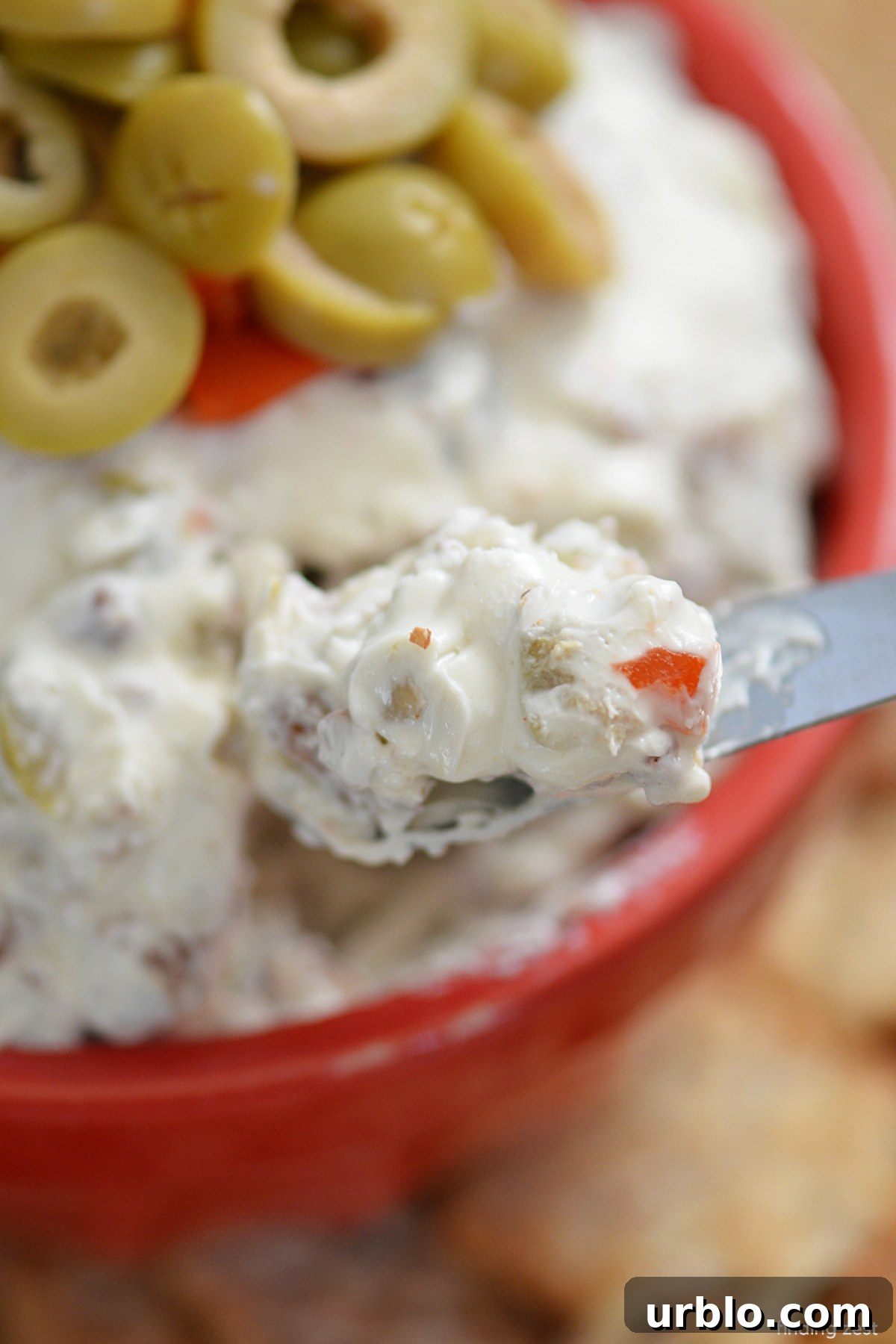 This olive spread is loaded with sliced green olives and pecans, making it the ultimate party dip for olive lovers! Serve with your favorite crackers or bread for a tasty appetizer option!