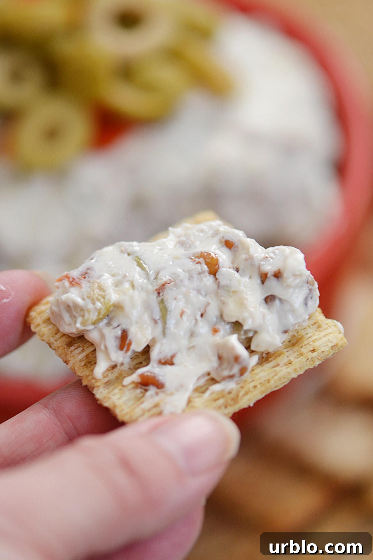 This cream cheese and olive dip doubles as a spread! Everyone will love the combination of olives, cream cheese and pecans!