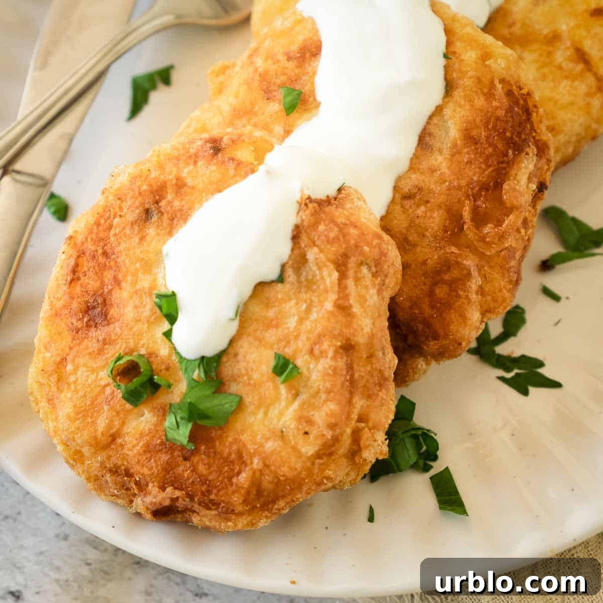 Crispy Potato Fritters Recipe for Golden, Crunchy Hash Browns 8 Overhead shot of potato fritters on a white plate garnished with fresh parsley and cheese sauce.