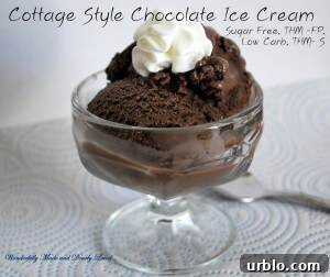Cottage Style Chocolate Ice Cream (2)