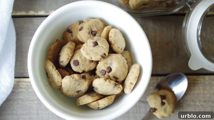 top view of vegan cookie crunch cereal