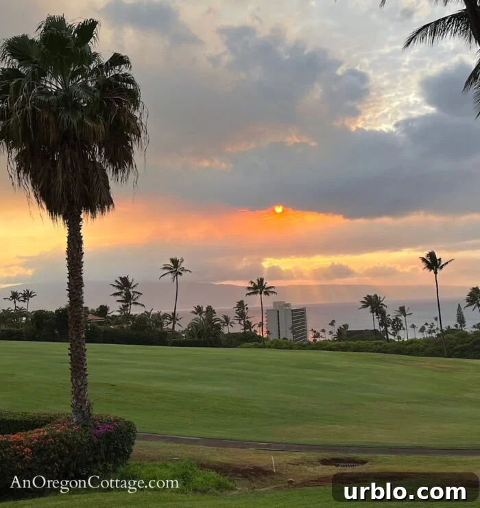 sunset in Hawaii