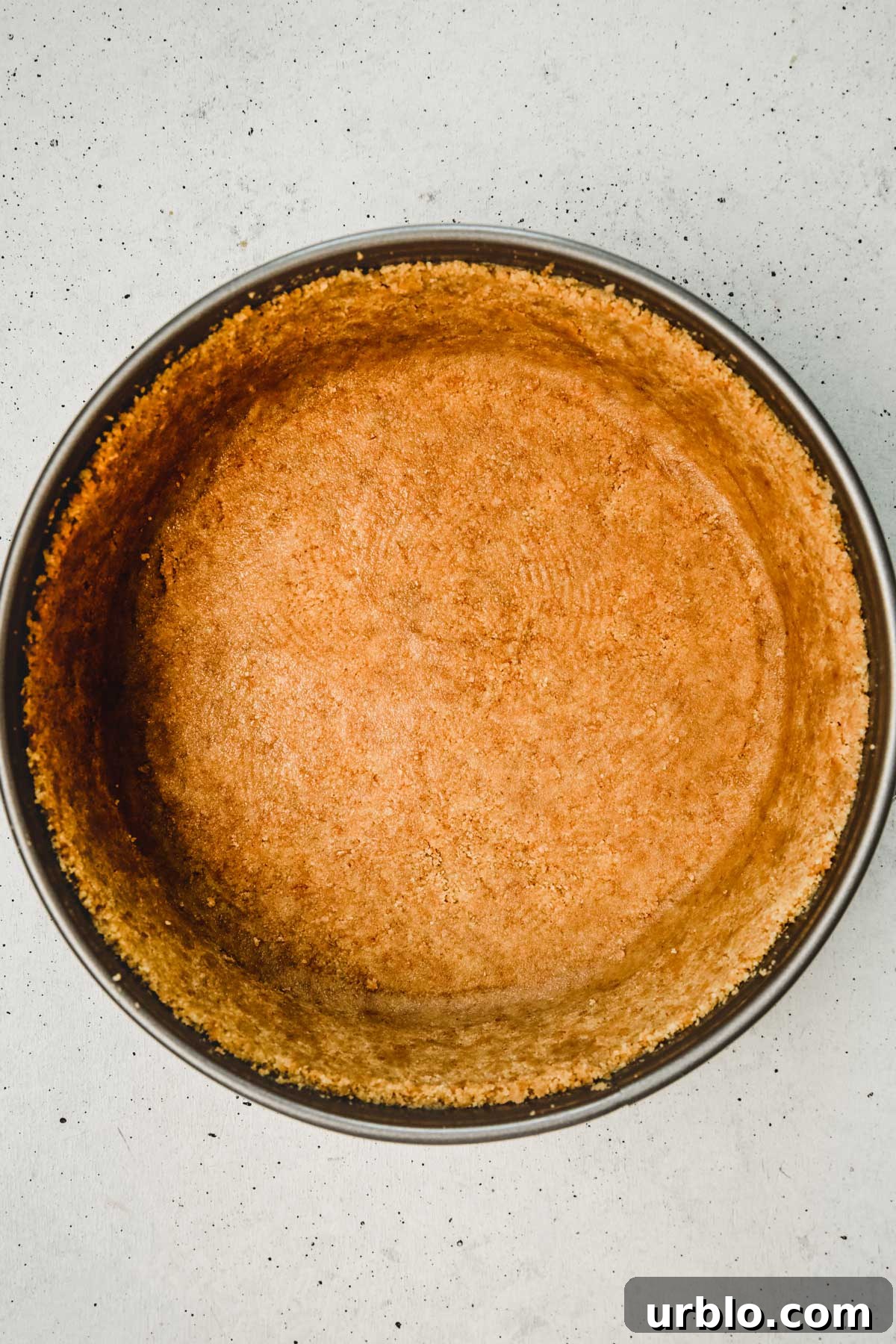 New York Cheesecake Recipe: Classic Creamy Slice Guide 3 Moule à charnière avec un fond de biscuits