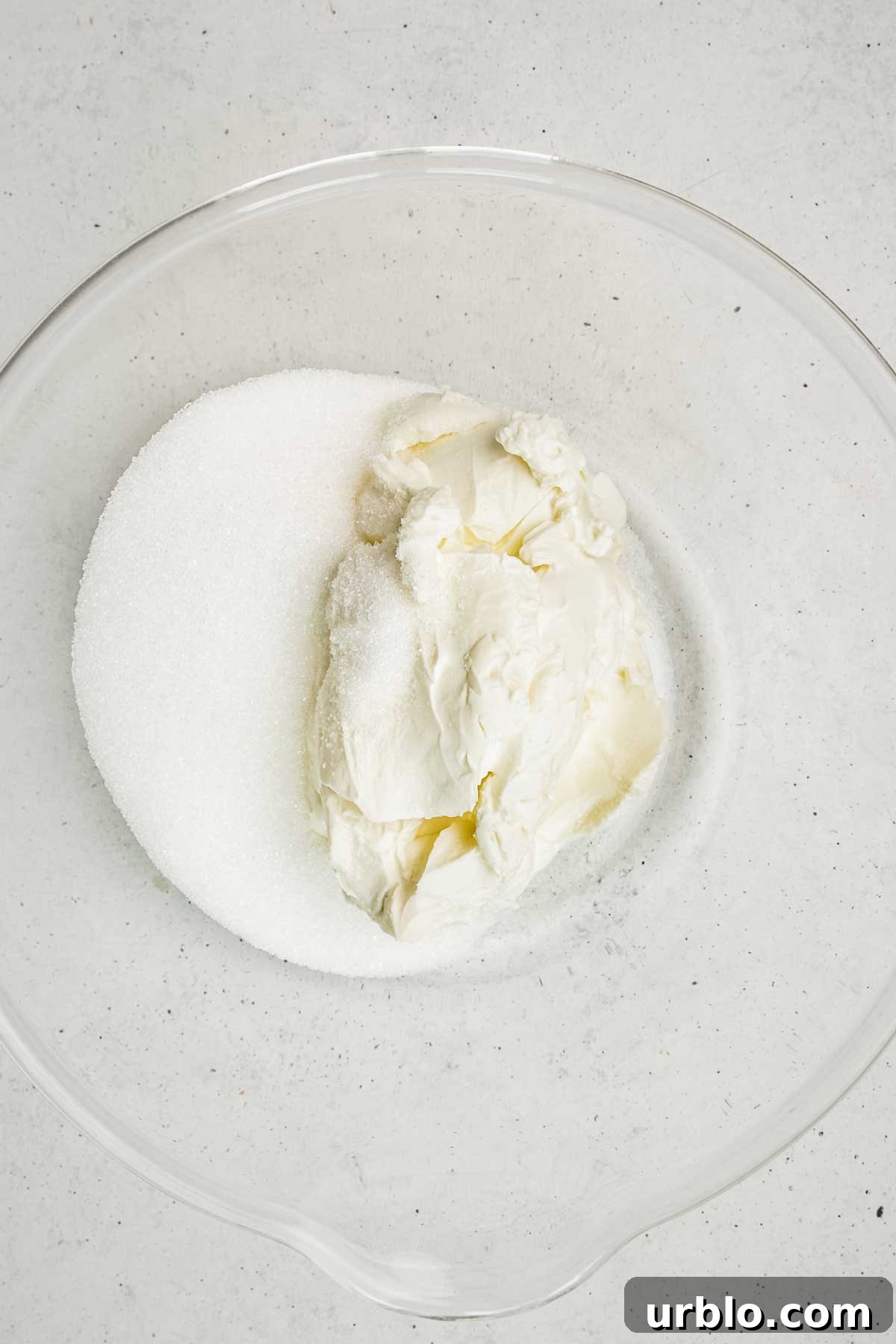 New York Cheesecake Recipe: Classic Creamy Slice Guide 4 Bol avec des ingrédients
