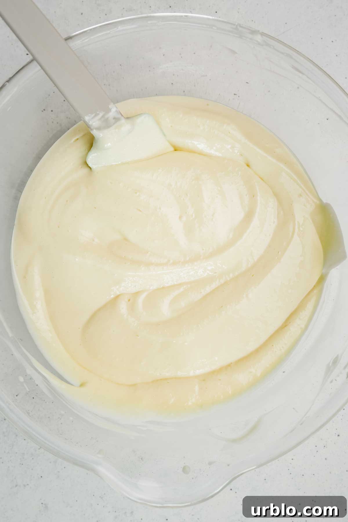 New York Cheesecake Recipe: Classic Creamy Slice Guide 5 Bol avec de la préparation