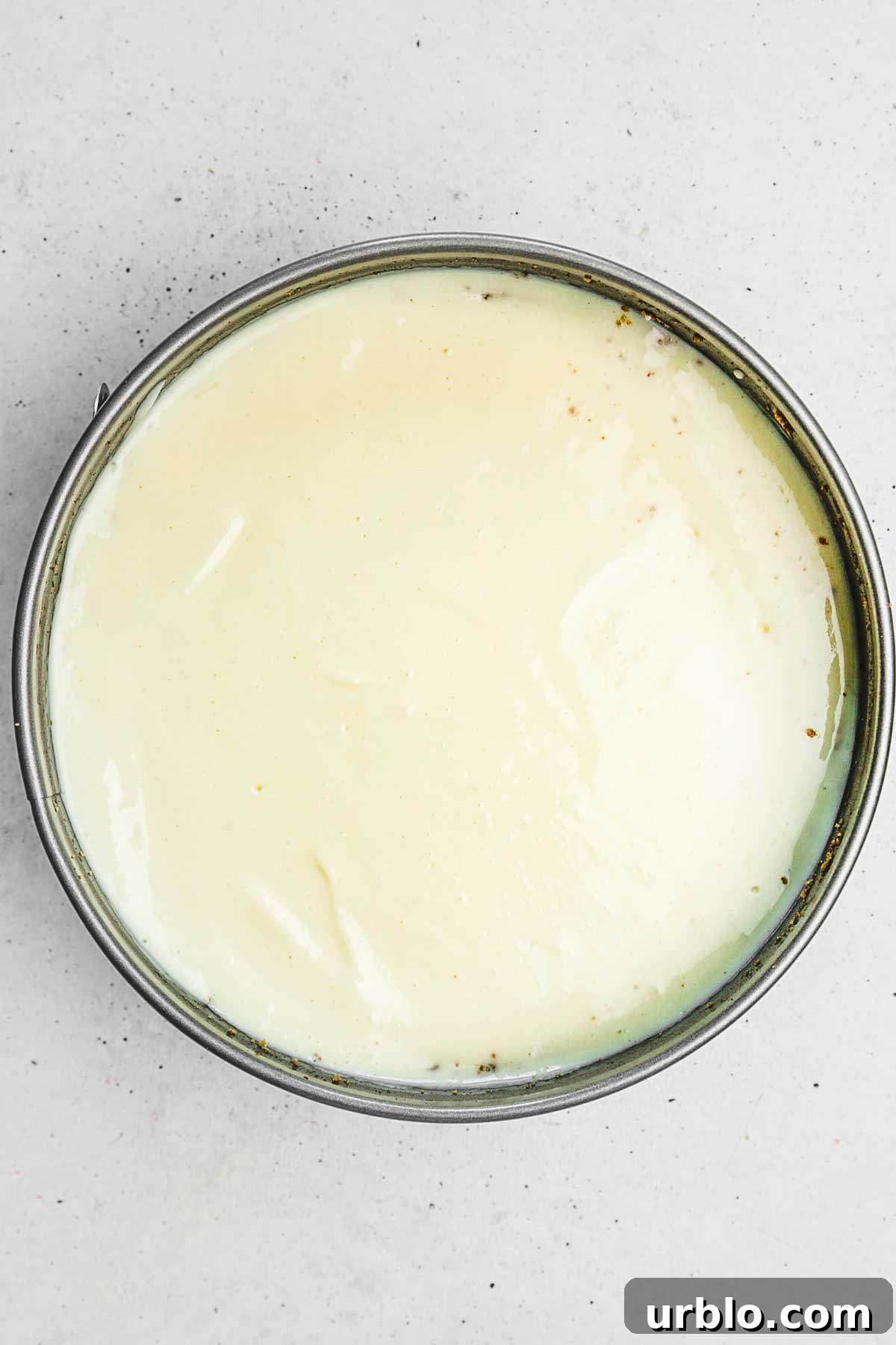 New York Cheesecake Recipe: Classic Creamy Slice Guide 6 Moule à charnière avec de la pate